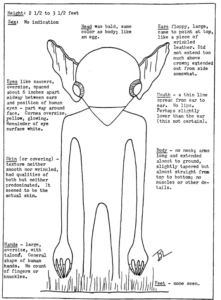Kelly–Hopkinsville-Andrew-Ledwith